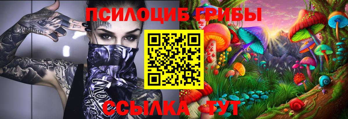Псилоцибиновые грибы MAGIC MUSHROOMS  Галлюциногенные грибы Psilocybine cubensis  Вход с VPN  Канск 